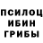 Псилоцибиновые грибы GOLDEN TEACHER Mr. MV