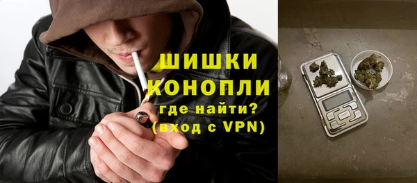 ПСИЛОЦИБИНОВЫЕ ГРИБЫ Инта