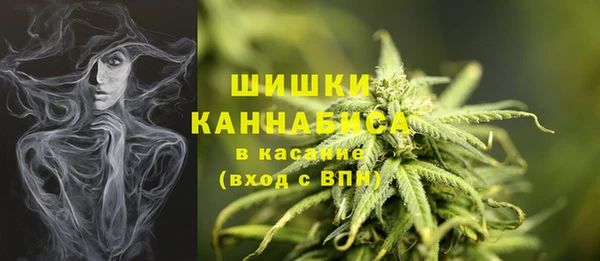 гидропоника Иннополис