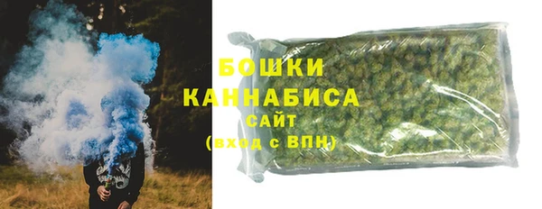 ПСИЛОЦИБИНОВЫЕ ГРИБЫ Инта