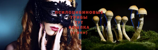 гидропоника Иннополис