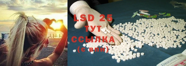 гидропоника Иннополис