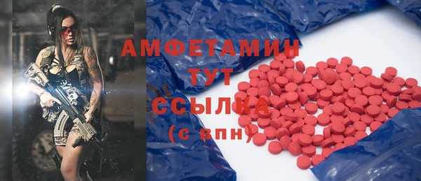 ПСИЛОЦИБИНОВЫЕ ГРИБЫ Инта